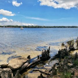 Livable Shorelines
